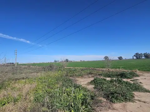 VENTA - CAMPO DE 32 HECTAREAS DE SUELO MIXTO - PIÑERO