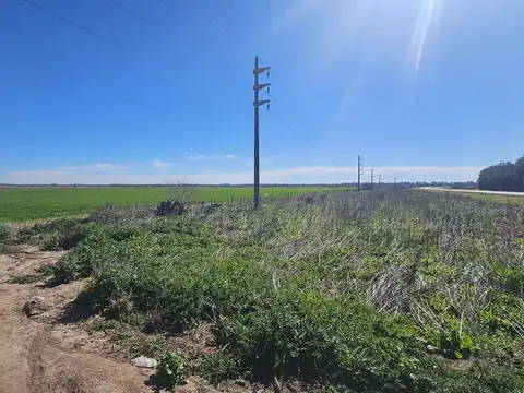 Ruta Provincial 14 Km50