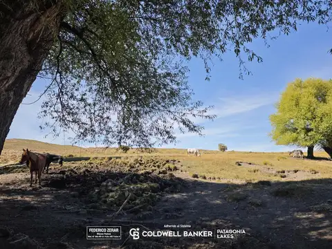 Pilcaniyeu, Rio Negro