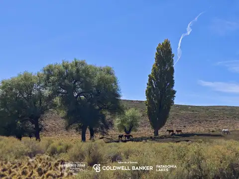 Campo en venta veranada invernada - 575 ha - Pilcaniyeu Viejo