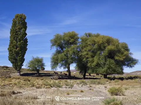 Campo en venta veranada invernada - 575 ha - Pilcaniyeu Viejo