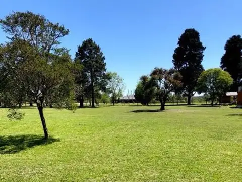 Lote lindero a campo Timbo, entorno encantador, espacios amplios y  naturaleza.