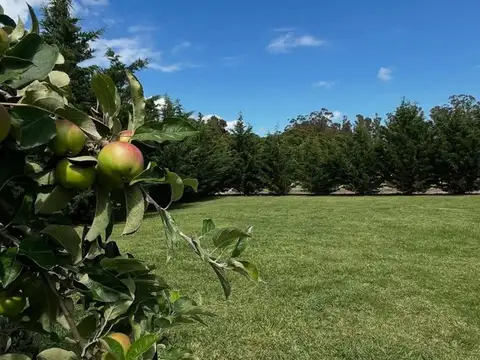 Terreno en Venta en Santa Clara del Mar, USD 27.000