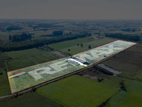 VENTA DE CAMPO 4 HECTAREAS CON TAJAMAR RUTA 75