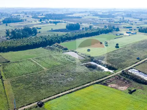 VENTA DE CAMPO 4 HECTAREAS CON TAJAMAR RUTA 75