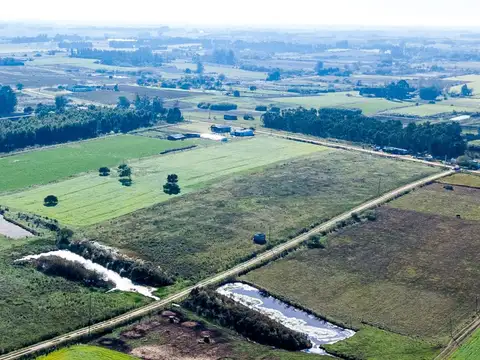 VENTA DE CAMPO 4 HECTAREAS CON TAJAMAR RUTA 75