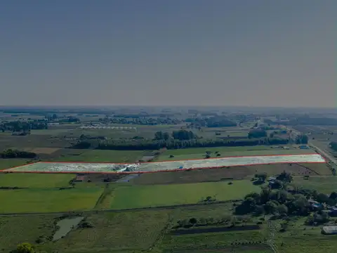 VENTA DE CAMPO 4 HECTAREAS CON TAJAMAR RUTA 75