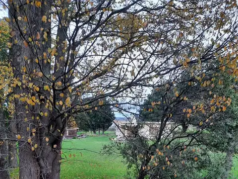 Terreno en Venta en Balcarce, USD 37.500