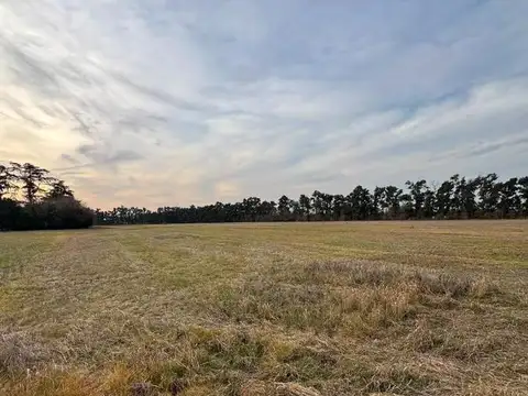 Excelente Campo a la venta.