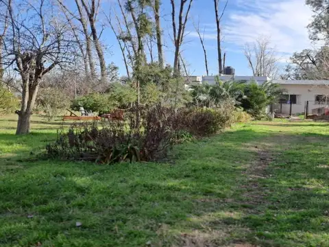 Los Geranios  al 1600