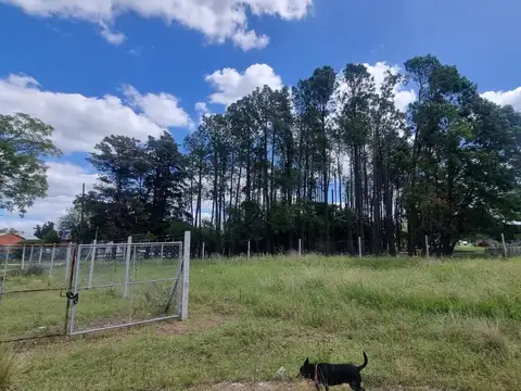 TERRENO EN VENTA EN EL BARRIO SAN JERONIMO I, MATHEU