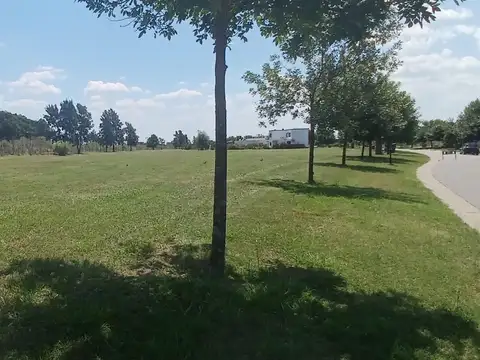 Terreno en Venta 36  mts Fondo