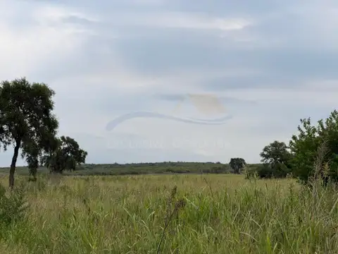 Terreno en Venta en Docta Central, USD 63.600