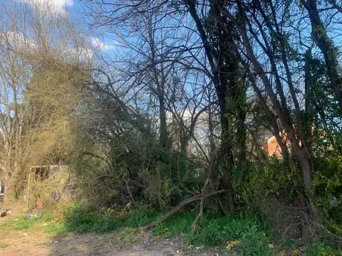 Aristobulo del valle  2600