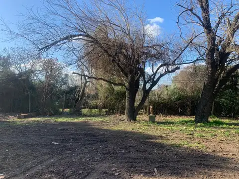 Aristobulo del valle  2600