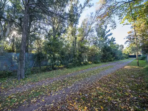 Terreno en Venta en Bella Vista, USD 150.000