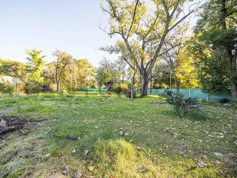 Terreno en Venta de 800,0 m2