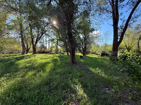 Venta - Lote - Amarylis Club de Campo - Exaltación de la Cruz