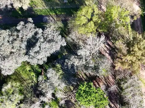 Terreno en Venta de 1500,0 m2