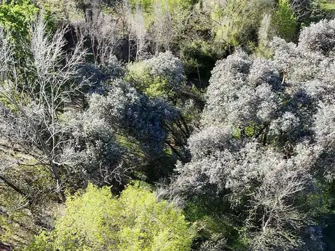 Terreno en Venta, FOS 0,4