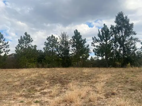 TERRENO VENTA CONCORDIA