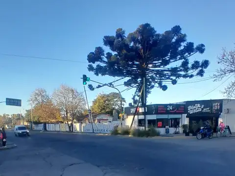 FRACCION DE 1000 M2 SOBRE RUTA 205! ZONA CENTRICA