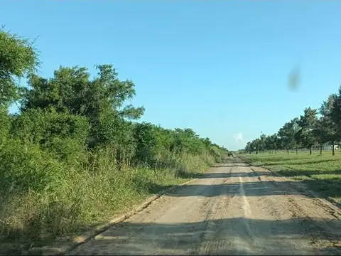 Terreno en Venta de 52000,0 m2