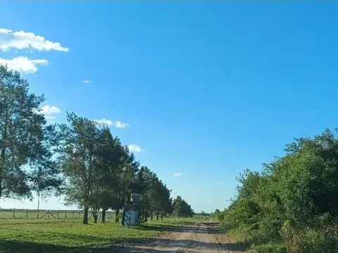 Terreno en Venta de 52000,0 m2