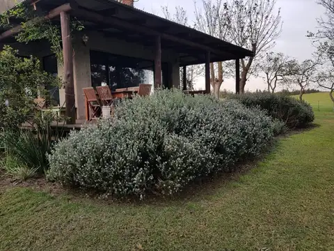 Terreno Campo  en Venta en Colonia, Uruguay