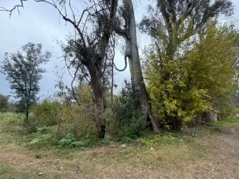 José Marmol y Gilardi