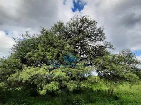 VENTA-3 HECTÁREAS-LAS VERTIENTES DE LA GRANJA