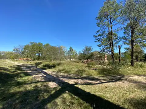 Amarylis Club de campo