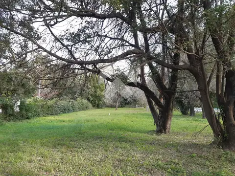 TERRENO EN COLASTINE NORTE A 150M DE RUTA1