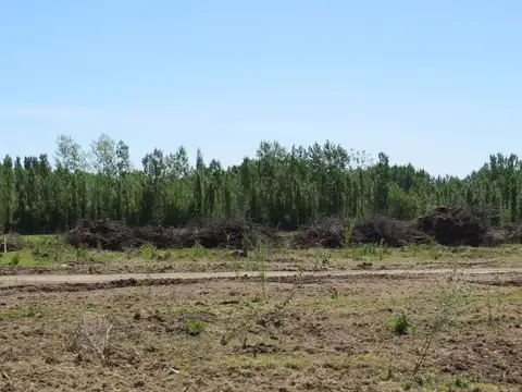 Terreno en Venta de 250,0 m2