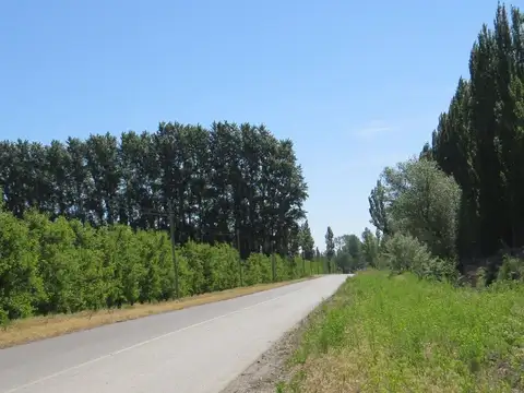 Terreno en Venta en Cervantes, USD 5.000