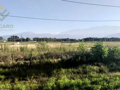 Terreno en Venta en LA CARLOTA
