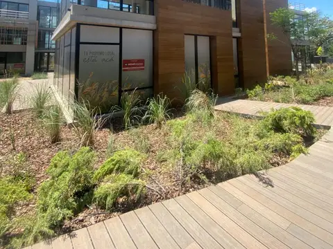 Local en Alquiler en Bella Vista, USD 6.500