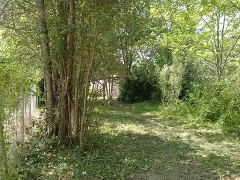 El Hornero