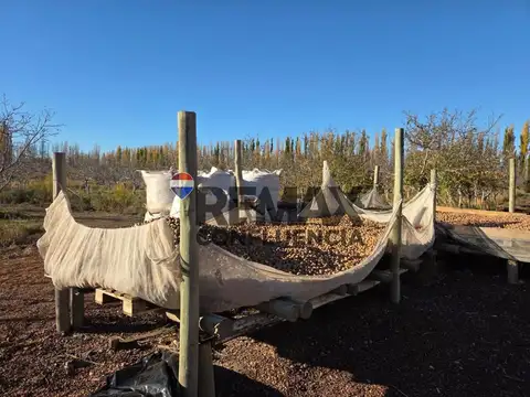 VENTA CHACRA SARGENTO VIDAL