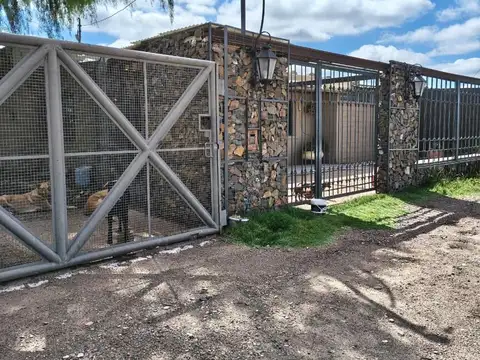 FINCA EN VENTA EN ARRASCAETA S/N, LA COLONIA, JUNIN, MENDOZA
