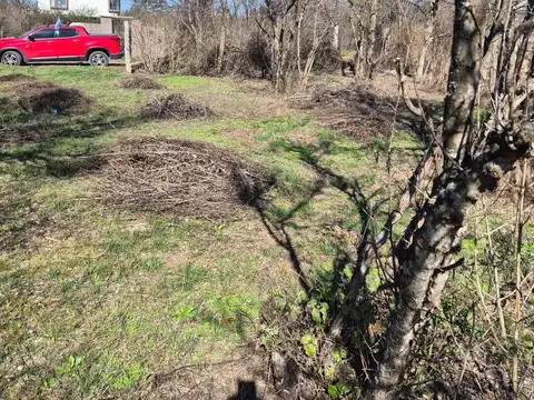 Terreno en Venta de 780,0 m2