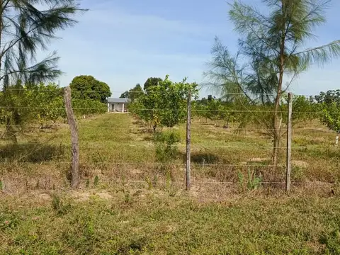 Campo en venta + casa en Bellas Vista, Corrientes