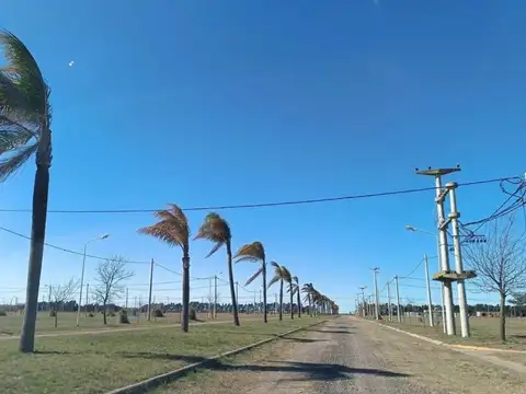 TERRENOS EN VENTA - TIERRA DE SUEÑOS CASILDA