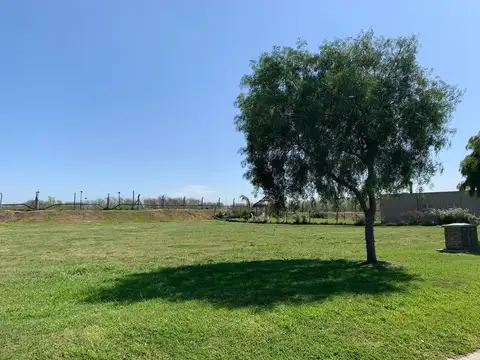 Terreno en Venta 10  mts Frente