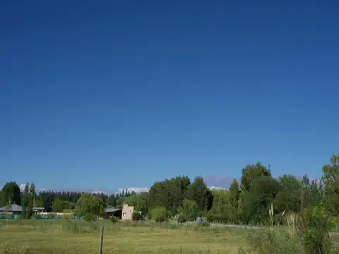 LA PRIMAVERA - TUNUYAN