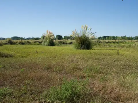 Terreno en Venta de 2000,0 m2