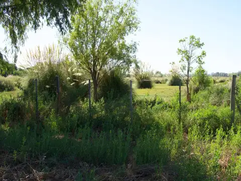 LA PRIMAVERA - TUNUYAN