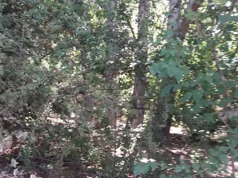 JUAN AGUSTIN MAZA S/N