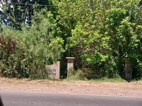 JUAN AGUSTIN MAZA S/N