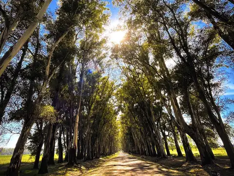 Terreno en Venta en San Andres De Giles, USD 37.000